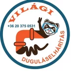 vilagi-logo-kicsi